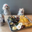 언더아멍 이미지