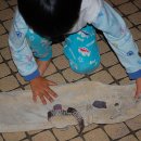 돼지궁뎅이 이미지