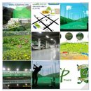 파인스골프연습장 이미지