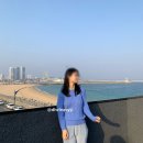 블루12속초테라 이미지