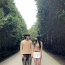 제주도의 푸른 밤