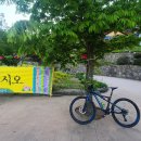 죽변운동장 티스토리