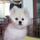 봉구