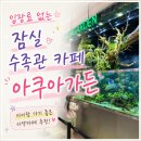 아쿠아가든카페 양재점 | 잠실 아이와 가볼만한곳｜롯데월드몰 아쿠아가든 수족관 카페 후기