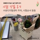 화훼장식기능사 | [화훼장식기능사 실기 합격 후기] 시험 당일 세팅, 순서, 주의사항, 수원디지털센터 주차 등