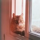 부평프라임동물병원 이미지