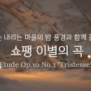 쇼팽 이별의 곡 | 쇼팽이 자신의 곡 중 가장 아름답다고 한 곡 | Chopin Etude Op.10 No.3 &#34;Tristesse&#34; 이미지