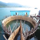 지족어촌체험휴양마을 이미지