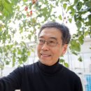 토마토인베스트먼트 네이버블로그
