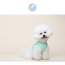 민트파파 이미지