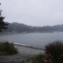 갈릴리교회 꽃밭 탐방 3 이미지