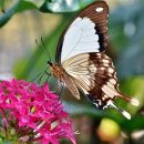 서라벌대학교 이미지