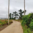 G1305 이미지