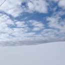 2185 | 3월 삿포로 날씨, 비에이투어 가도될까? 버스투어 비교