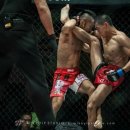 국제체육관 이미지