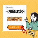 국제운전면허증 발급방법 2025 이미지