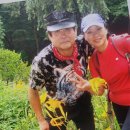 토시리 이미지