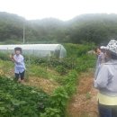 고구려목장 Daum카페