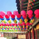 지축동 흥국사길 | 고양시 흥국사 천년고찰 부처님 오신날 가볼만한 곳