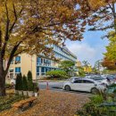 버드내코아 이미지