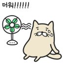 미미쓰카페 이미지