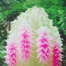 운칠기삼 이미지