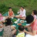 빅마트 Daum카페