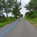 태신해안로 이미지