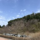 상천테마공원(주차장) 이미지