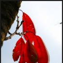 광양항 해양공원 이미지