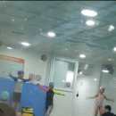 키즈앤맘 어린이전용수영장 이미지