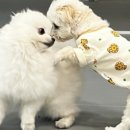 옐레드 부천 신중동점 이미지