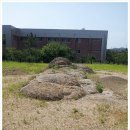 스트로마톨라이트 이미지