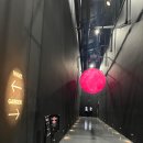 에스엠비 이미지