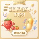 NR-3[성남대로]-하-160 | 피세틴 효능 7가지, 세놀리틱 항노화 실체 (2026)