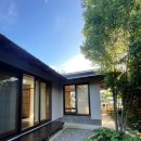 무이림3 이미지