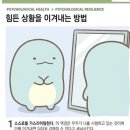 탈빠콘에서 재입덕콘으로_알디원 팬콘 후기 (260612~260613)🪽| 인스파이어 아레나 | 앨리즈 로그