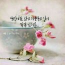 Dawn - Tie a Yellow Ribbon Round the Ole Oak Tree 이미지