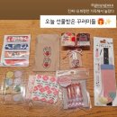 펫보드레 이미지