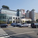 바이휴먼주