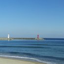 동해바다 이미지