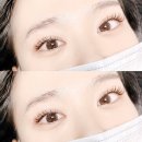더(the)예쁜속눈썹
