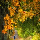 가을향기를 담은 향수 이미지