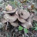 현곡농장2 이미지