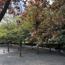 아빠의 캠핑장 | 아빠의 나무 캠핑장 명당자리 G 사이트