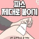 파스 이미지