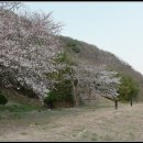 의령 보천사지 승탑 이미지