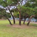 무지개길 이미지