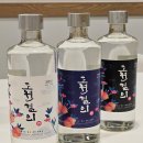 영덕3 | 전통주 선물세트 추천 영덕주조 도원결의 복숭아 증류주 3종 후기