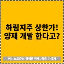 11530-12-11 이미지